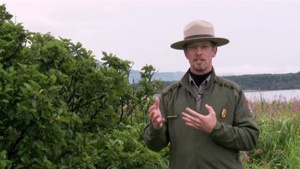 Grizzly - Interview Roy Wood VO