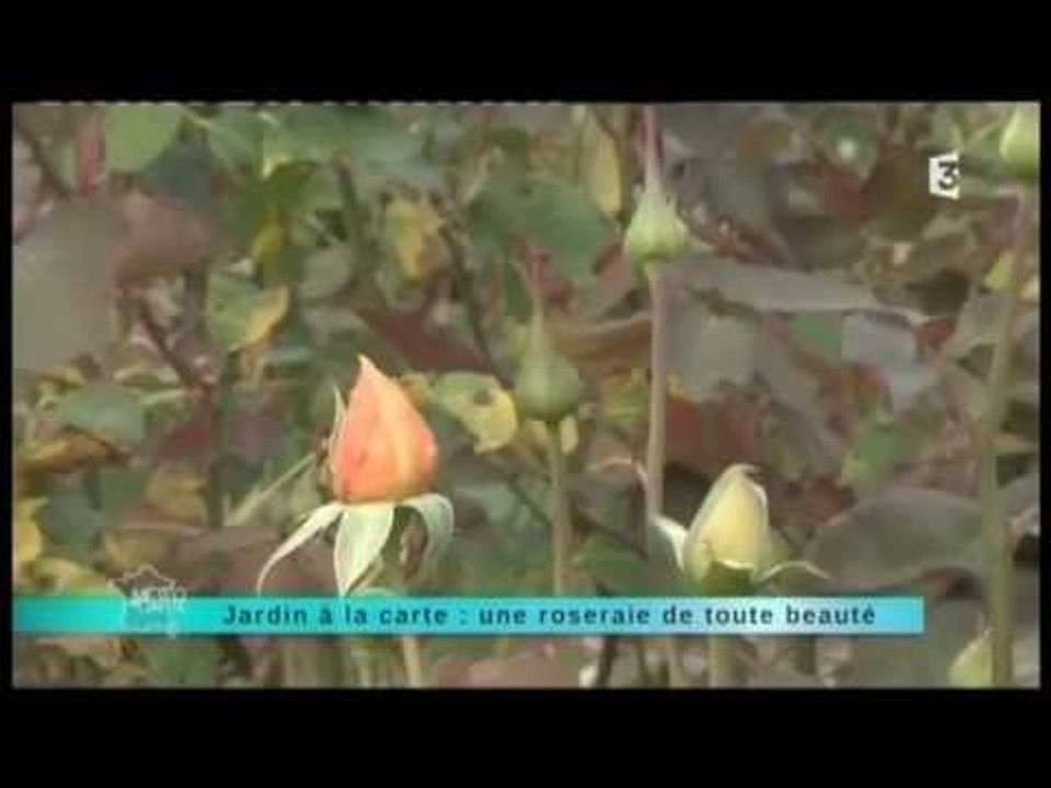 Les plus beaux jardins - Une roserie de toute beauté - Le Grand-Quevilly (76) - 23 septembre 2013