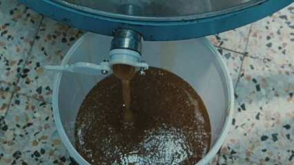 Bande-annonce : Les Merveilles - VO (2)