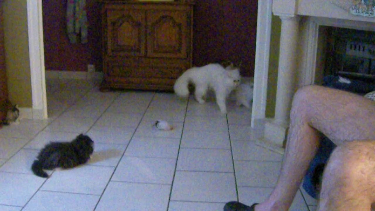 mes bébés deux mois et demi