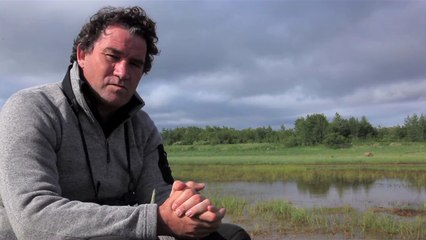 Grizzly - Interview Alastair Fothergill VO