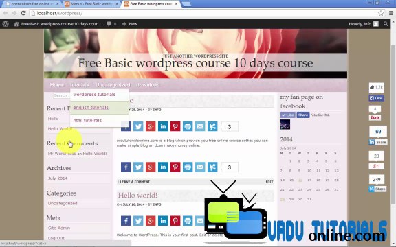 Free Basic Course of WordPress Tutorial in urdu Chapter eight navigation bar or menus