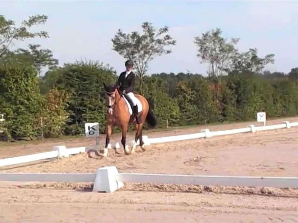 Ramses Sponté - Club 2 senior - Lamotte Beuvron