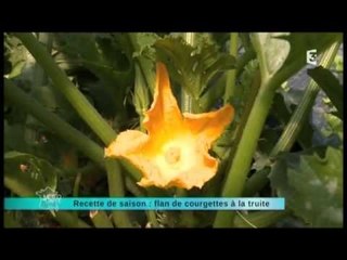recette de saison courgettes -  3 septembre