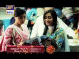 Babban Mian Ki Begum Billo (Promo 1) - ARY Digital