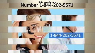 1-844-202-5571 Hotmail Support Toll Free Number_Password Recovery Number USA