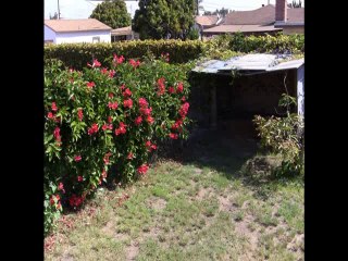 Find Out How Much Is Your Home  Sell your home quickly in Moorpark, California