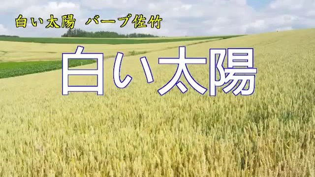 白い太陽 ・・バーブ佐竹