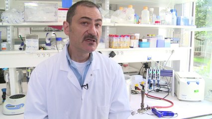 Faut-il s'inquiéter de la propagation de l'épidémie d'Ebola ?