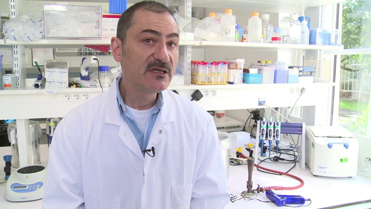 Faut-il s'inquiéter de la propagation de l'épidémie d'Ebola ?