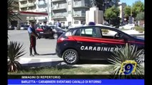 BARLETTA | I carabinieri sventano “cavallo di ritorno”