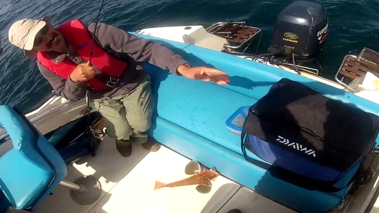 Bars et morues dans le Nord, mai juin 2014, partie 1 sur 2