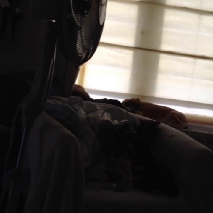 Mobile Capture 31 Jul 2014