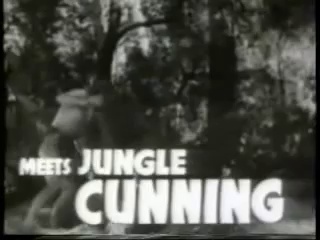Trailer – Tarzan Triumphs (1943)
