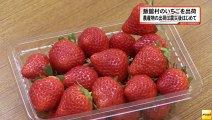20140731飯舘村で生産のイチゴ出荷へ　飯舘村の農産物出荷は震災後初　福島