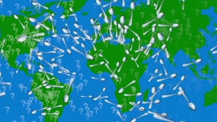 SPOON vs. SPOON by Richard Gale