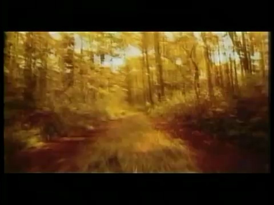 "St. John's Wort" Trailer
