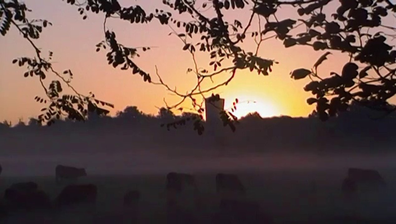 Petit déj. sur l'herbe (31 juillet 2014)