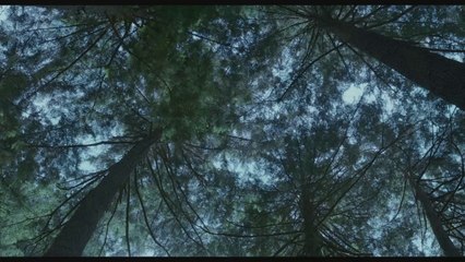 LA PLANETE DES SINGES : L'AFFRONTEMENT - Bande-annonce2 VF