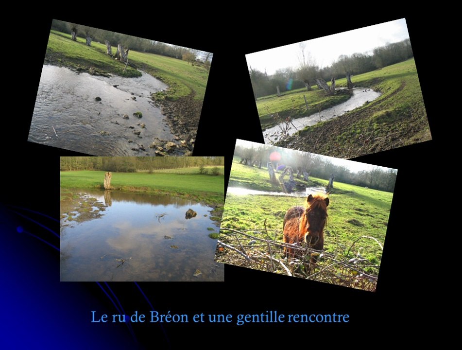 Parcour de Chaumes en Brie