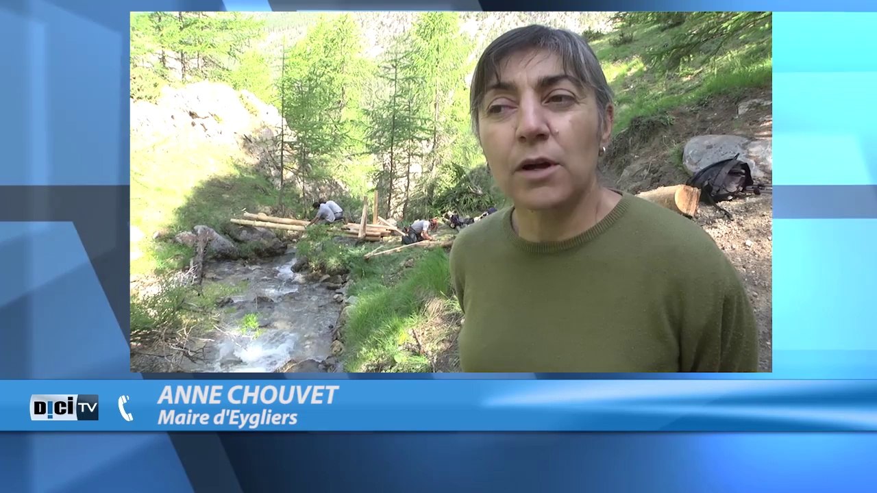 D!CI TV: trois chats tués à Eygliers, une habitante porte plainte