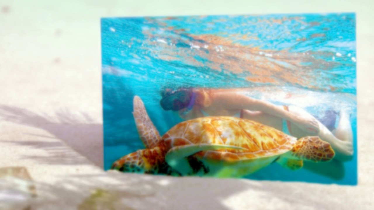 Cozumel Tours