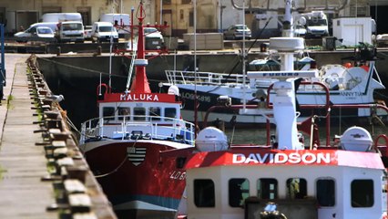 L’Européen d’à côté : Le panier de la mer 56 "Du filetage de poissons à l’insertion profe