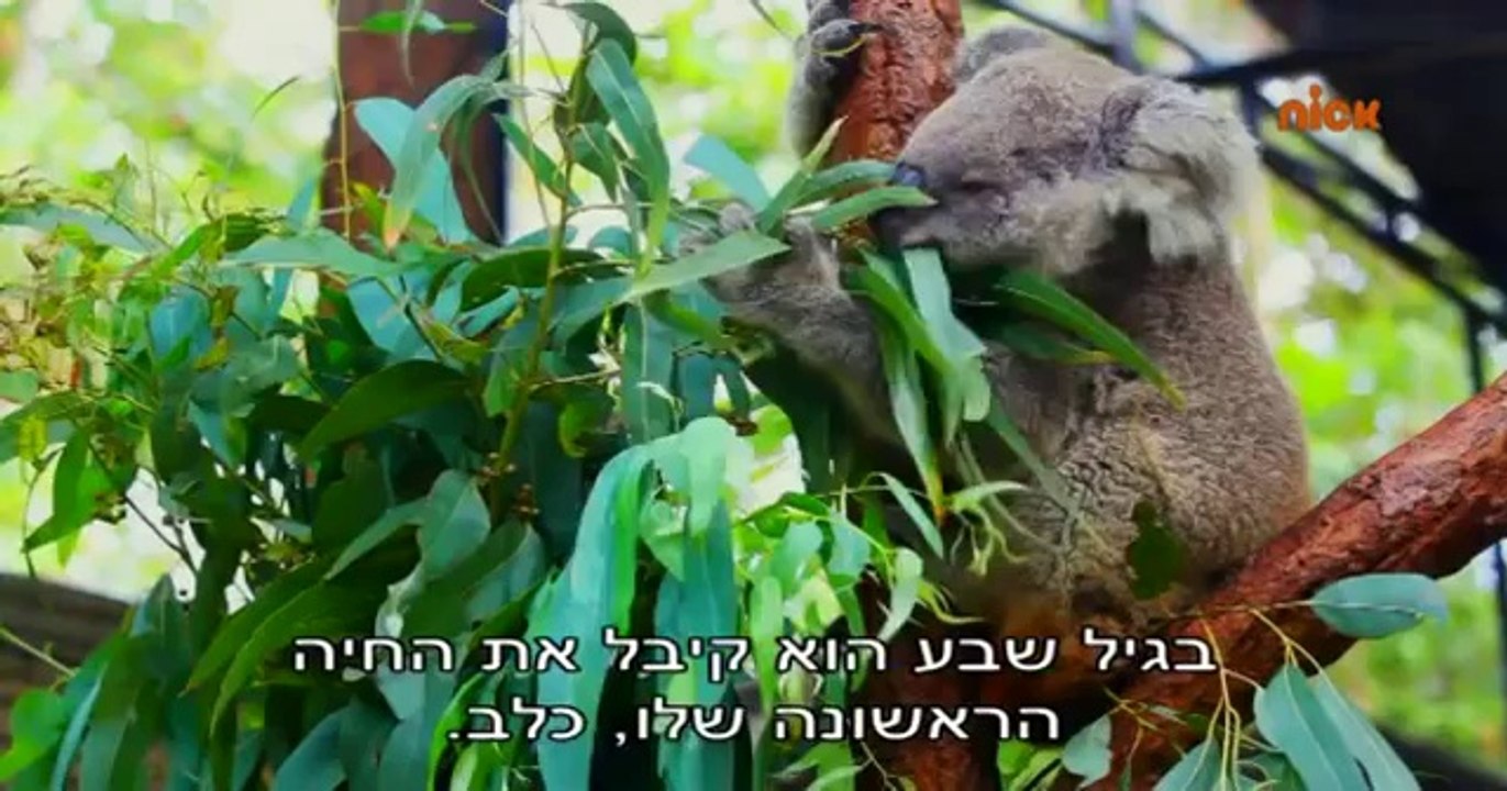 גן חיות 2 - פרק 1
