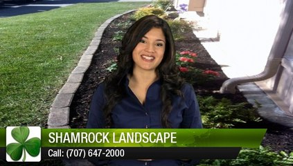 Shamrock Landscape Benicia         Wonderful         Five Star Review by hoops30011
