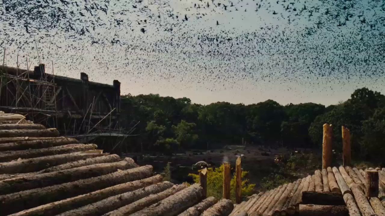 Noah (2014) Trailer