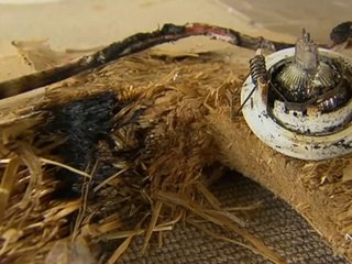 Rescue Cat Saves Family's Home From Massive Fire