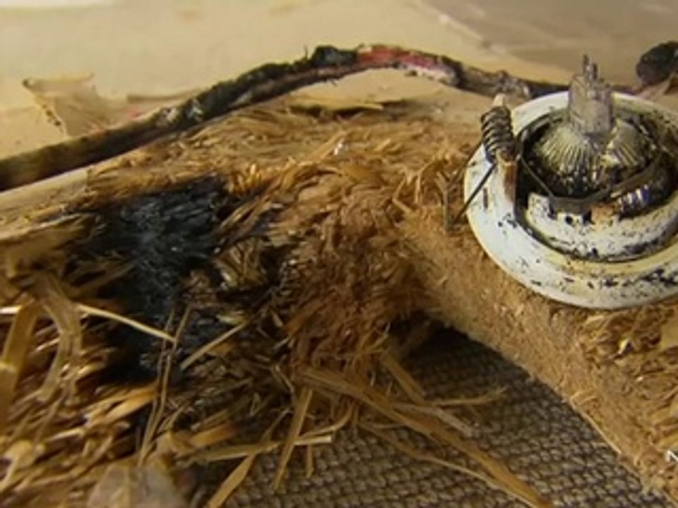 Rescue Cat Saves Family's Home From Massive Fire