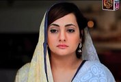 Behnein Aisi Bhi Hoti Hain Episode 64 Full on Ary Zindagi