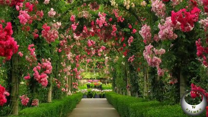 Espanhola by Beco da Arte