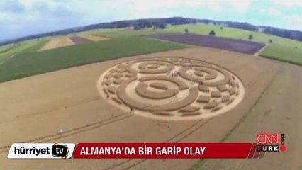 Tarlada bir gecede ortaya çıkan ekin çemberi herkesi şaşırttı.