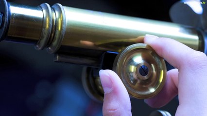 Herbier #14 - Microscopes