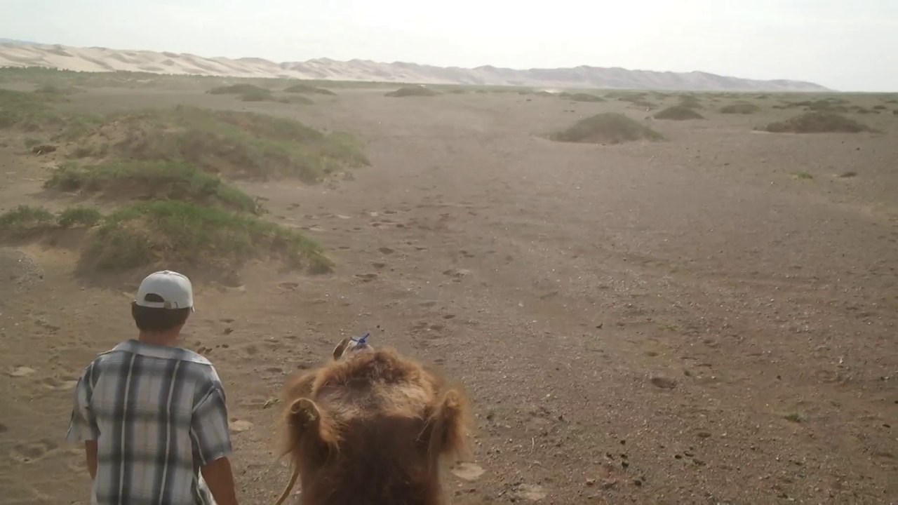 camel ride in gobi