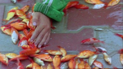 HD Trailer: The Song of Sparrows (PG) - In theaters: April 3, 2009