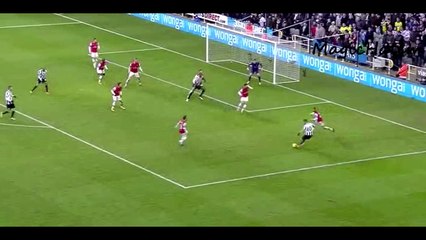 Hatem Ben Arfa | Full Season | 2013/14