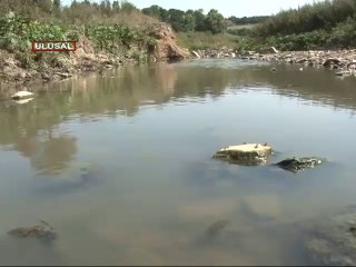 İstanbul'da kuraklık alarmı