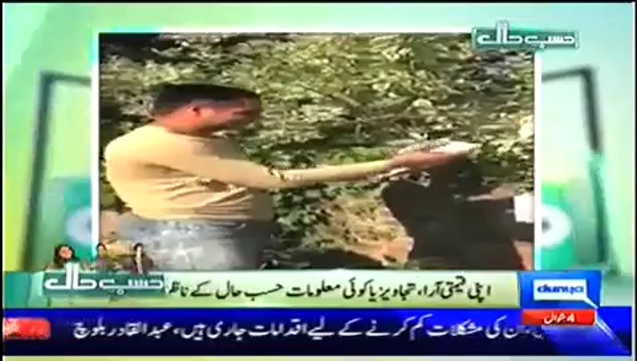 Hasb e Haal – 31st July 2014