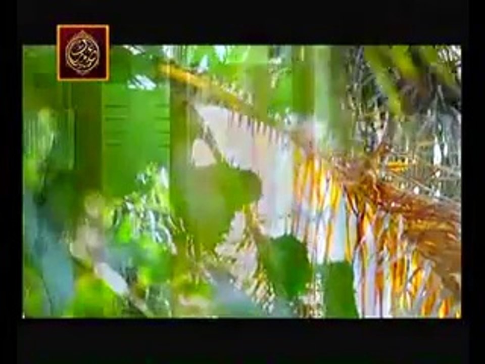 Jaane Kyun Episode 15 Full Drama in High Quality ARY Digital - "31 July 2014"