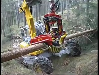 tree cutter  imezing video