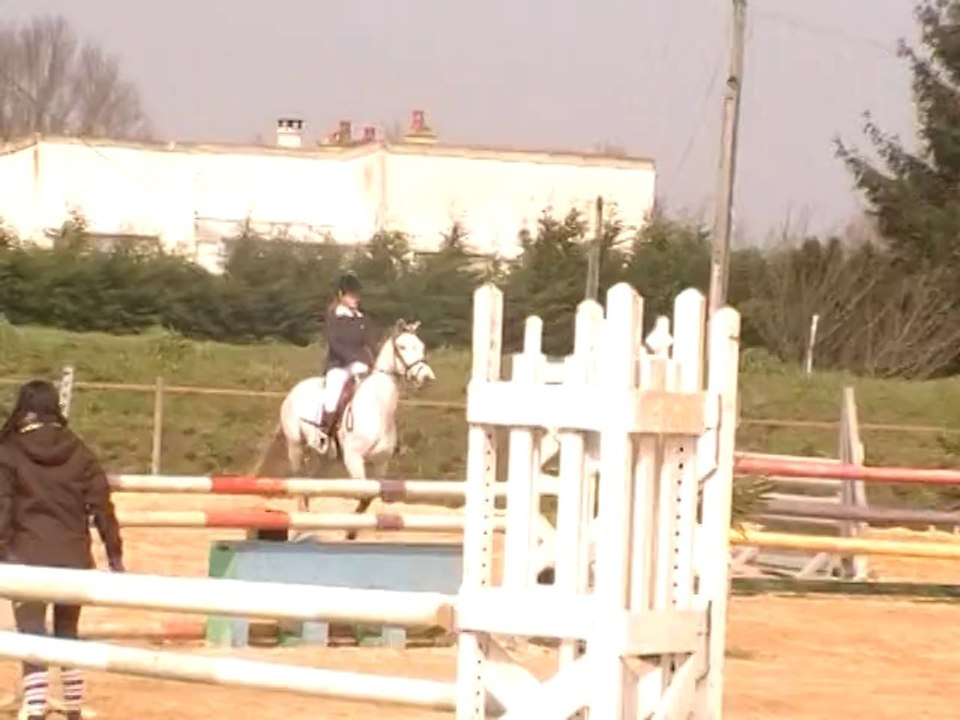 poney 3103021013 083