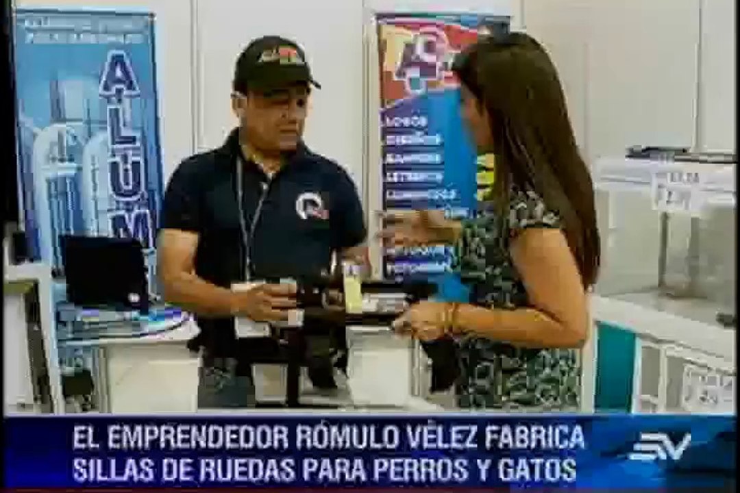 Silla de ruedas para perros