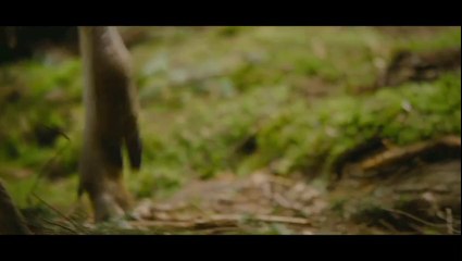 Bande-annonce : Twilight - Chapitre 5 : Révélation 2e partie  VF - Teaser