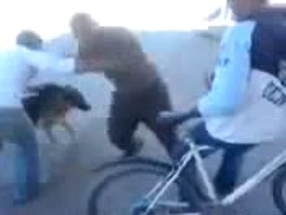 Algerie wahrany khawaf mdrrrr ( juste pour rire )