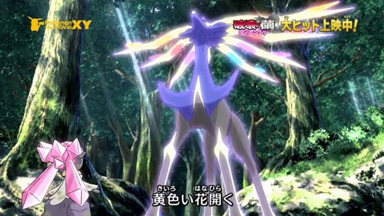 XY. New Op. + M.17