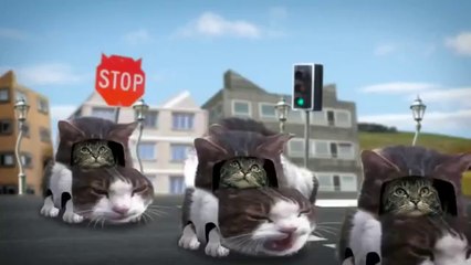 Welcome to Kitty City