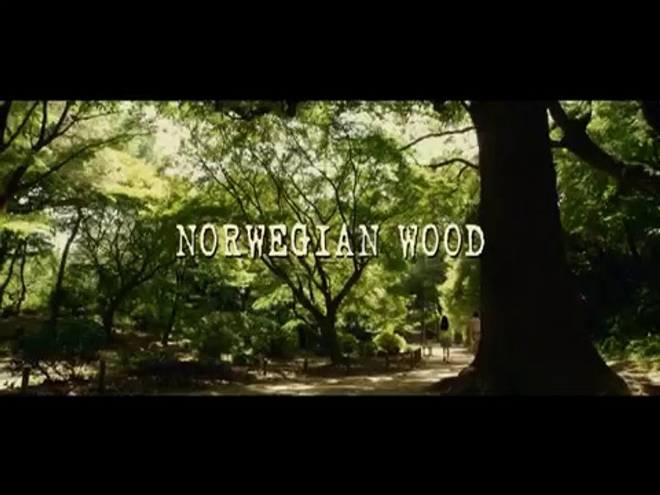 COMO NA CANÇÃO DOS BEATLES: NORWEGIAN WOOD